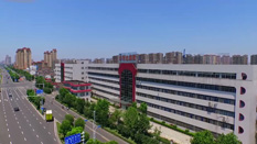 世俱杯app官方贸易团队片