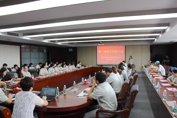 世俱杯app官方集团亿灵伟业第一届职代会圆满落幕